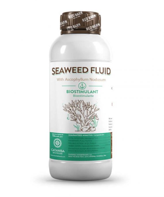 Seaweed Fluid