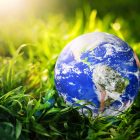 Blog beneficios orgánicos