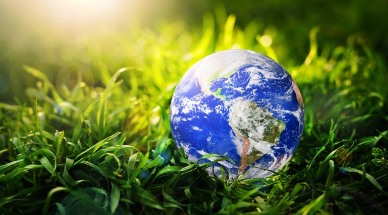 Blog beneficios orgánicos